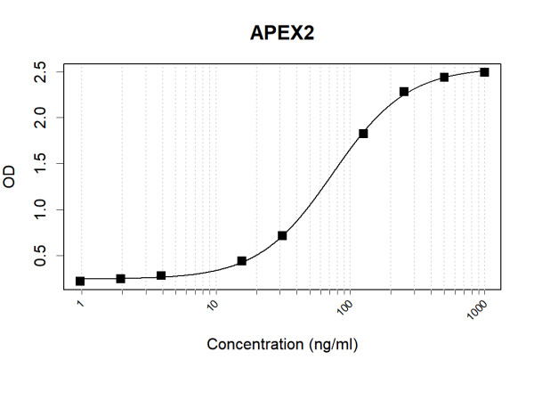 Anti-Human APEX2 Antibody Pair