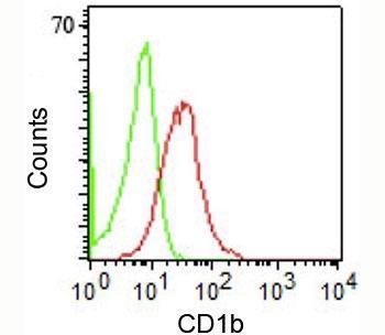 Anti-CD1b, clone RIV12