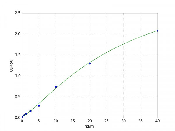 Human CD146 / MCAM / MUC18 ELISA Kit