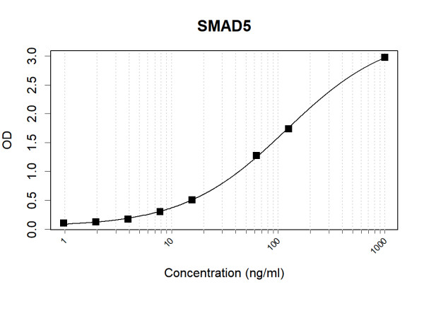 Anti-Human SMAD5 Antibody Pair