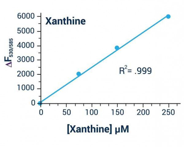 Xanthine Assay Kit (Colorimetric or Fluorometric)