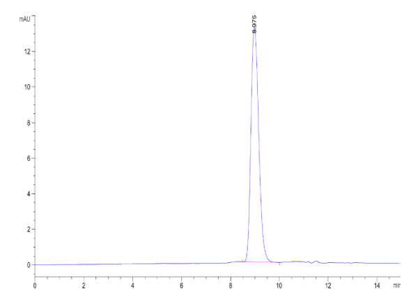 Biotinylated Human RGM-C Protein