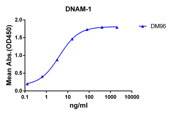 Anti-DNAM-1 antibody(DM96), Rabbit mAb