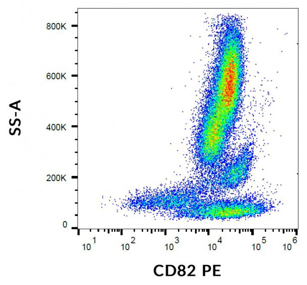 Anti-CD82 (PE), clone C33