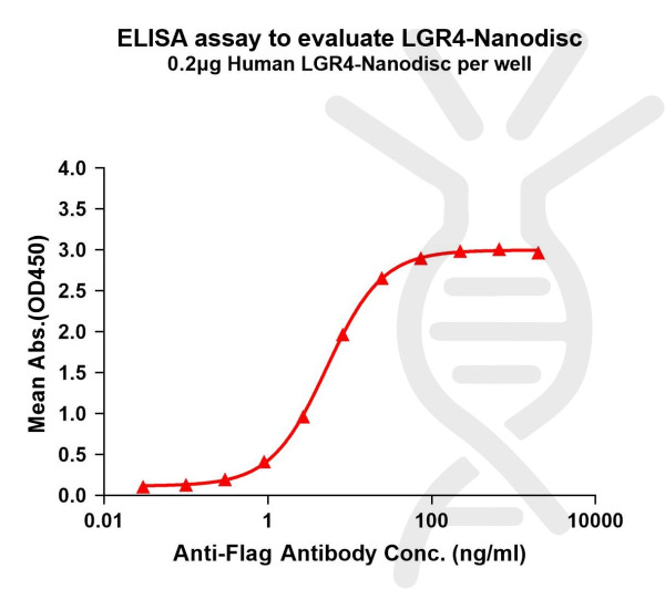 LGR4 (human) full length protein-synthetic nanodisc