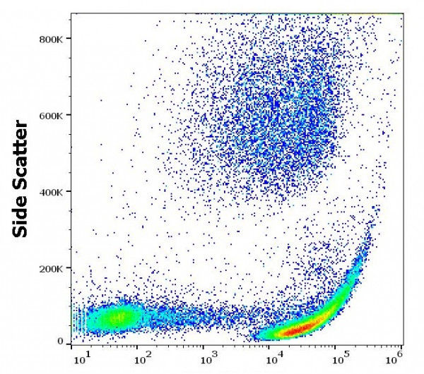 Anti-CD41, clone MEM-06 (FITC)