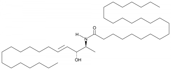 C24 1-Deoxyceramide (m18:1/24:0)