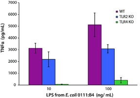 Lipopolysaccharide-LPS