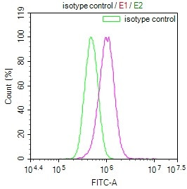 Anti-RAB27A Recombinant Monoclonal, clone 2E8