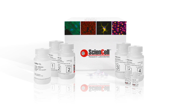 DualPrep DNA/RNA Isolation Kit