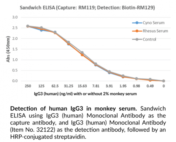 Anti-IgG3 (human) Rabbit Monoclonal Antibody (Clone RM119)