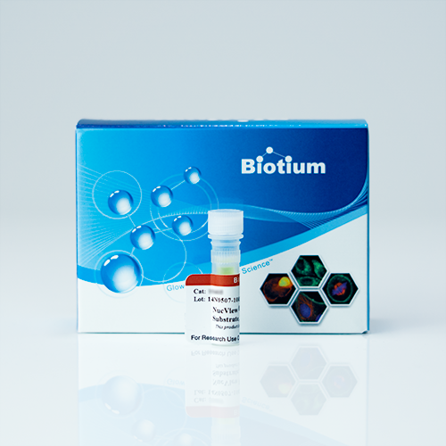 NucView(R) 405 Caspase-3 Substrate, 1 mM in DMSO