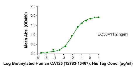 MSLN/Mesothelin(296-598), His, Human