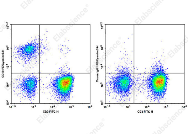 PE/Cyanine5 Anti-Human CD19 Antibody[SJ25C1]
