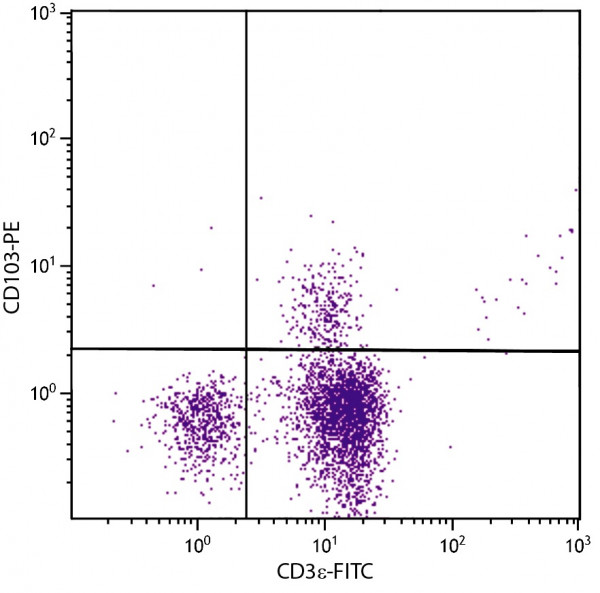 Anti-CD103 / Integrin alpha E (PE), clone 2E7