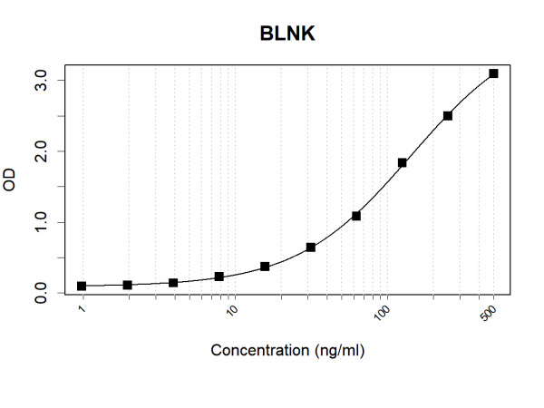 Anti-Human BLNK Antibody Pair