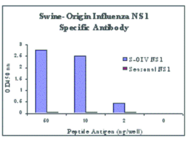 Anti-Swine H1N1 Nonstructural Protein 1
