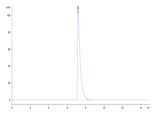 Mouse CD13/ANPEP Protein