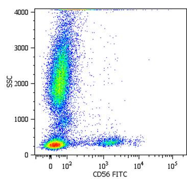 Anti-CD56, clone MEM-188 (FITC)