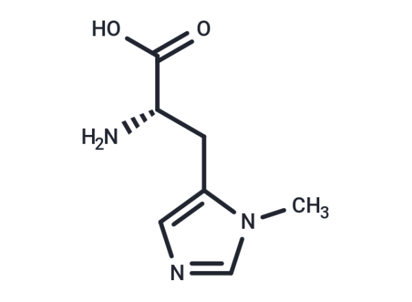 3-Methyl-L-histidine
