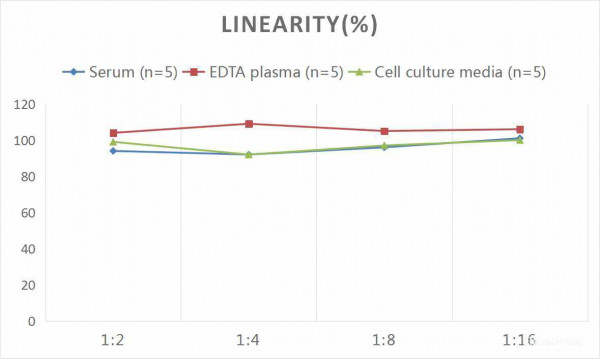 Human KIM-1 (Kidney Injury Molecule 1) CLIA Kit