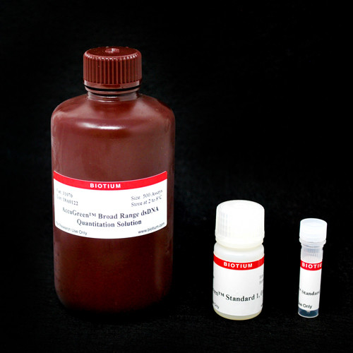 AccuGreen(TM) Broad Range dsDNA Quantitation Solution