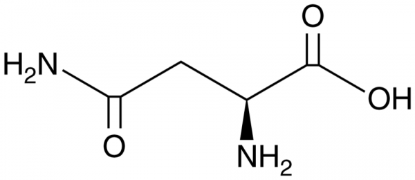 L-Asparagine