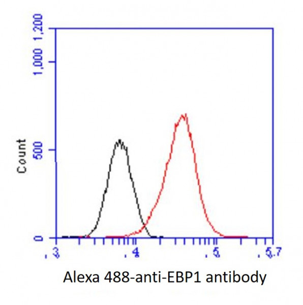 Anti-EBP1, clone 5E7