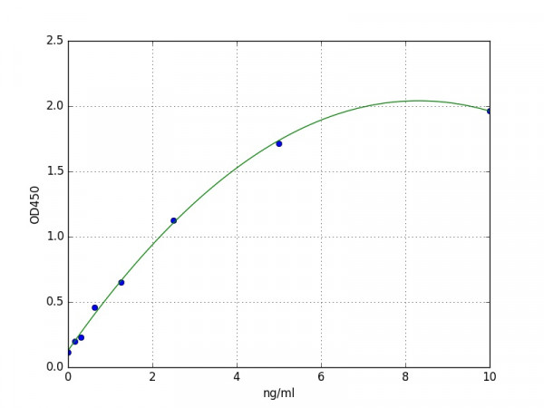 Human H-RAS ELISA Kit