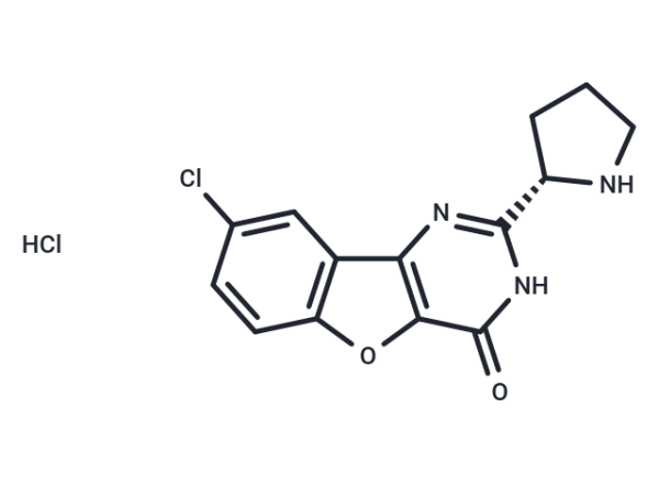 XL413 hydrochloride