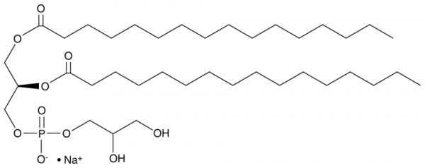 1,2-Dipalmitoyl-sn-glycero-3-PG (sodium salt)