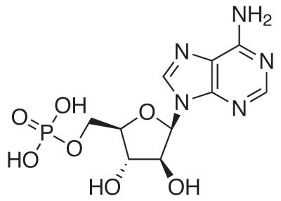 Vidarabine monophosphate