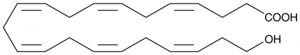 22-HDHA