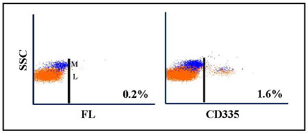 Anti-CD335 (bovine) monoclonal antibody (clone EC1.1)