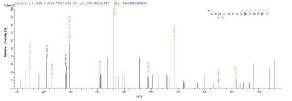Cytoglobin (Cygb), rat, recombinant