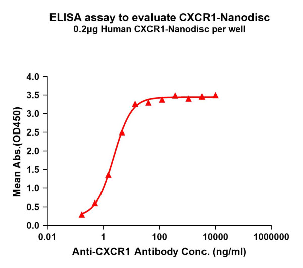 CXCR1 (human) full length protein-synthetic nanodisc