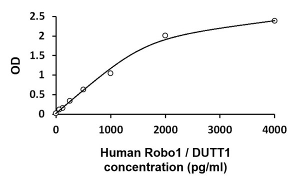 Human Robo1 / DUTT1 ELISA Kit