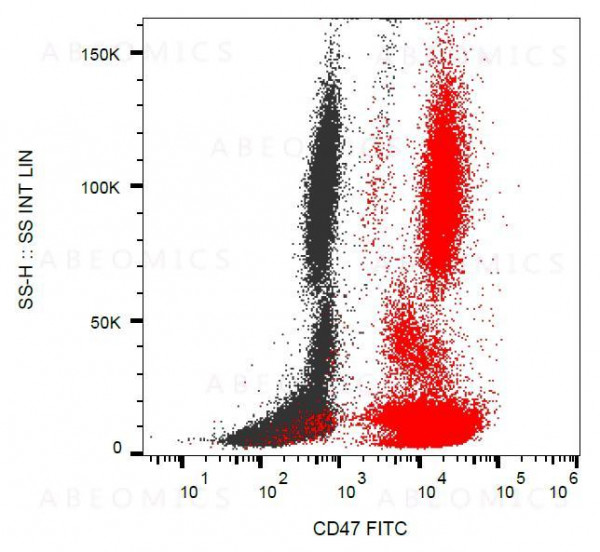 Anti-CD47 / Integrin Associated Protein Monoclonal Antibody (Clone:MEM-122)-FITC Conjugated
