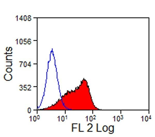 Anti-DLL4 (RPE), clone HMD4-2