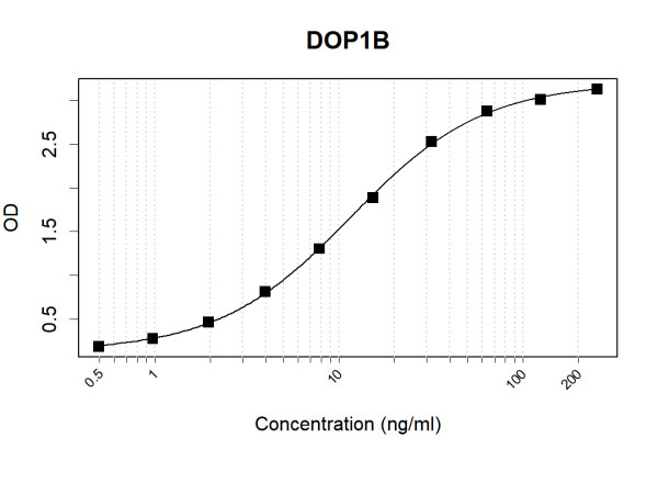 Anti-Human DOP1B Antibody Pair