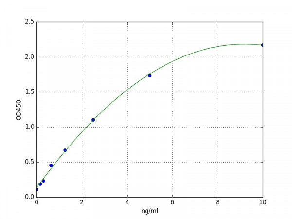 Human ASS1 / CTLN1 / Argininosuccinate synthase ELISA Kit