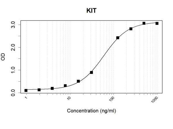 Anti-Human c-Kit Antibody Pair