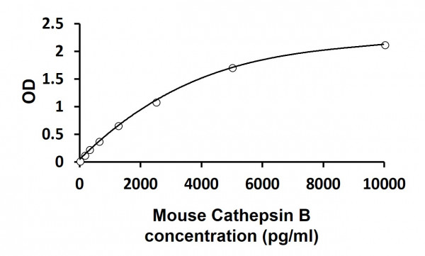 Mouse Cathepsin B ELISA Kit