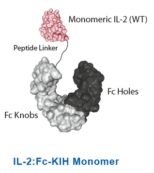 InVivoKines_IL-2