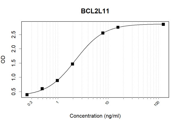 Anti-Human BCL2L11 Antibody Pair