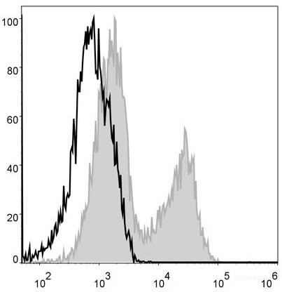 Anti-Mouse MHC II (I-A/I-E) (PerCP Conjugated)[M5/114], clone M5/114