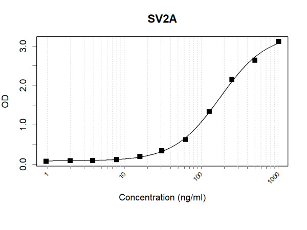 Anti-Human SV2A Antibody Pair