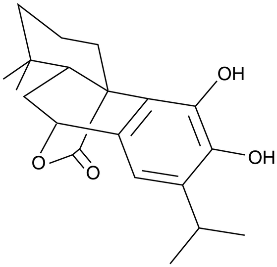 Carnosol CAS 5957802 Cayman Chemical