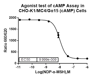 CHO-K1/MC4/Galpha15 (cAMP) Stable Cell Line