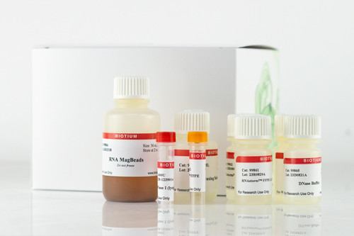 CELLDATA RNAstorm(TM) 2.0 MagBead FFPE RNA Extraction Kit